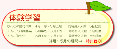 体験学習
